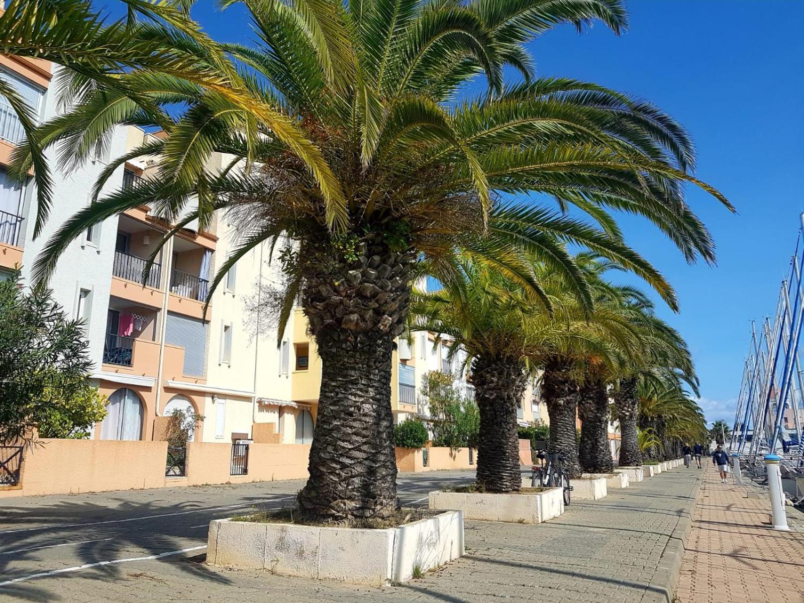 T2 Sur Le Port Avec Parking Lägenhet Gruissan Exteriör bild